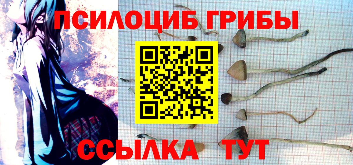 где продают наркотики  Галлюциногенные грибы ЛСД  Псилоцибиновые грибы MAGIC MUSHROOMS  Вход с VPN  Саров 
